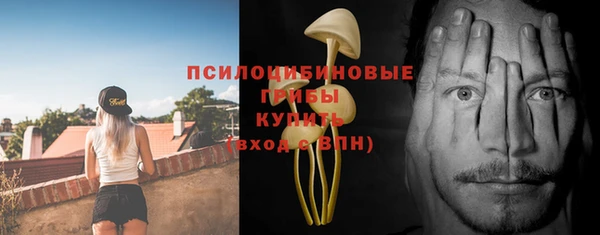 твердый Осинники