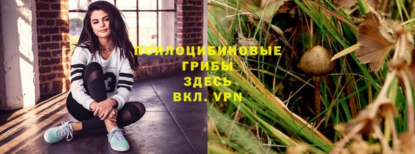 хмурый Алексин